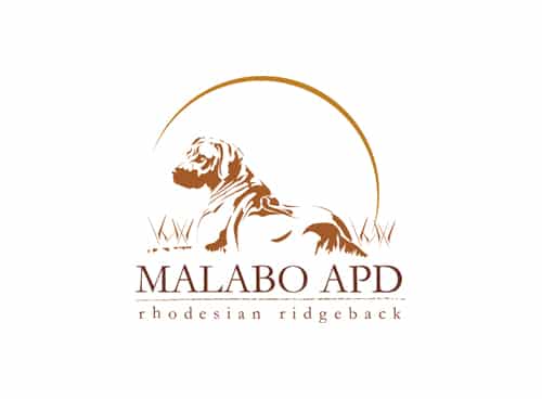 malabo_apd